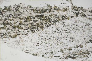 Plane Polarized, S48603