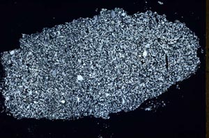 Cross Polarized, S48605