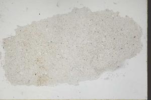 Plane Polarized, S48605