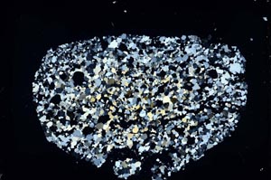 Cross Polarized, S48606