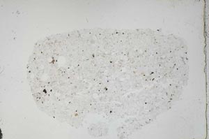 Plane Polarized, S48606