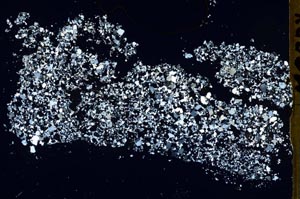 Cross Polarized, S48607