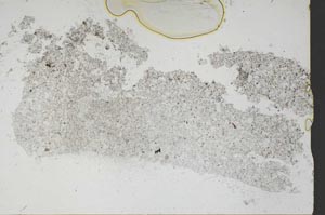 Plane Polarized, S48607