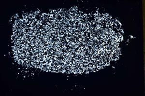 Cross Polarized, S48608