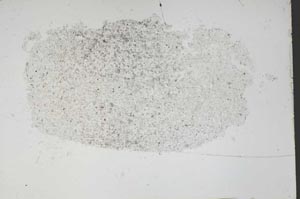 Plane Polarized, S48608