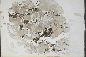 Plane Polarized, S48610