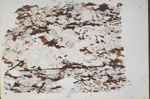 Plane Polarized, S48613