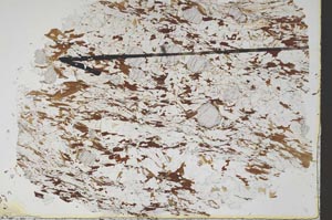 Plane Polarized, S48614