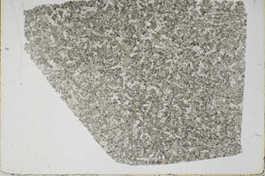 Plane Polarized, S48630