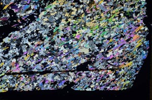 Cross Polarized, S48634