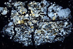 Cross Polarized, S48635
