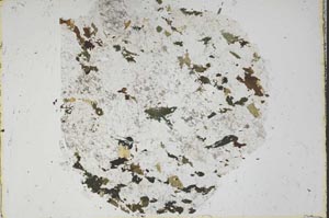 Plane Polarized, S48637