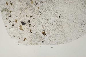 Plane Polarized, S48664