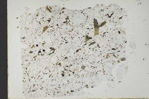 Plane Polarized, S48668