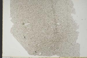 Plane Polarized, S48671