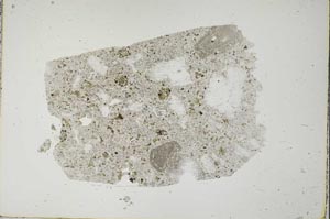 Plane Polarized, S48672