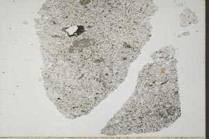 Plane Polarized, S48675