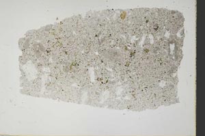 Plane Polarized, S48677