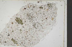 Plane Polarized, S48689