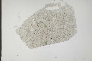 Plane Polarized, S48692