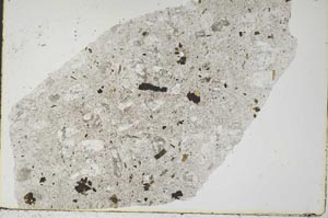 Plane Polarized, S48696