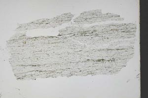 Plane Polarized, S48760