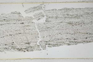 Plane Polarized, S48763