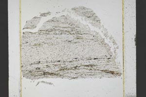 Plane Polarized, S48763/A