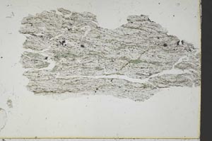 Plane Polarized, S48767
