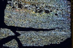 Cross Polarized, S48770