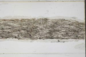 Plane Polarized, S48771