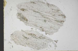 Plane Polarized, S48772