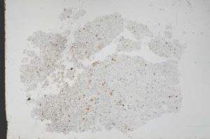 Plane Polarized, S48805