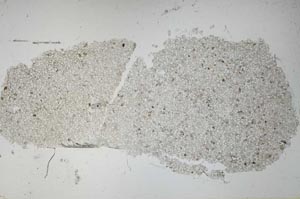 Plane Polarized, S48807