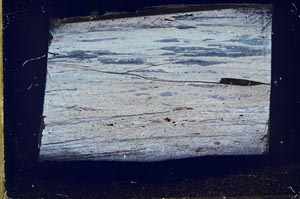 Cross Polarized, S48822