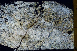 Cross Polarized, S48834