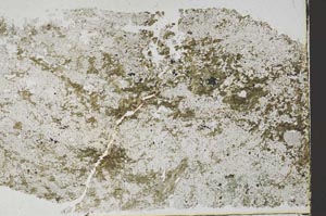 Plane Polarized, S48834