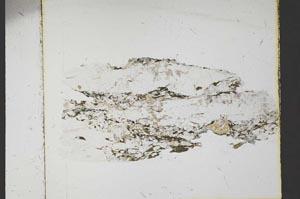 Plane Polarized, S48839