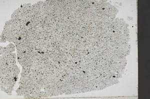 Plane Polarized, S48877