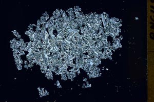 Cross Polarized, S48881