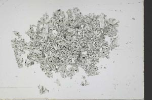 Plane Polarized, S48881