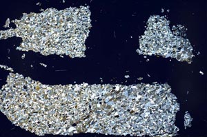 Cross Polarized, S48888