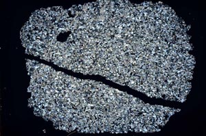 Cross Polarized, S48891