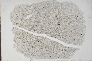 Plane Polarized, S48891