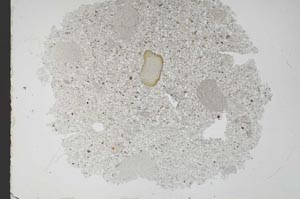 Plane Polarized, S48892