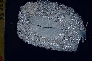 Cross Polarized, S48893