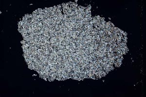 Cross Polarized, S48894