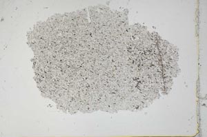 Plane Polarized, S48894