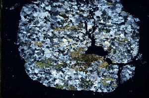 Cross Polarized, S48914