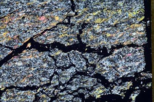 Cross Polarized, S48926